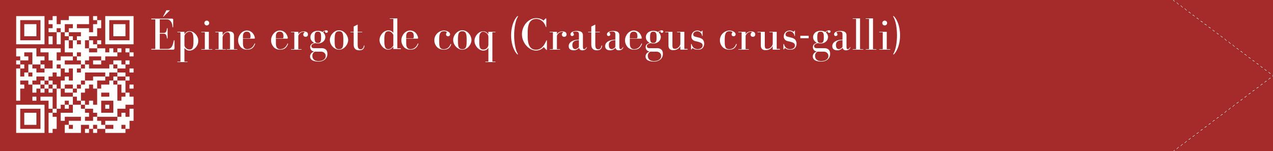 étiquette 2