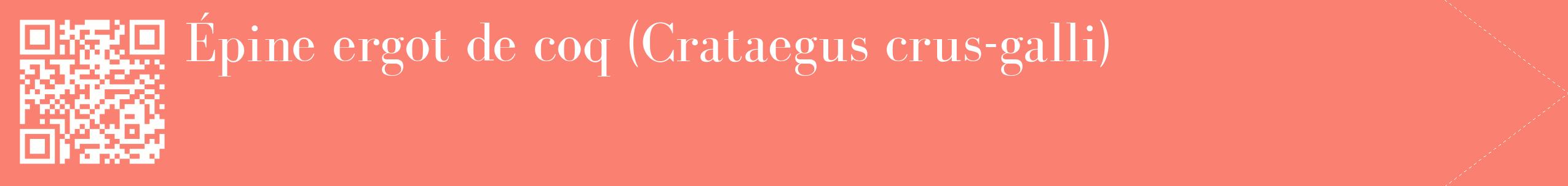 étiquette 2