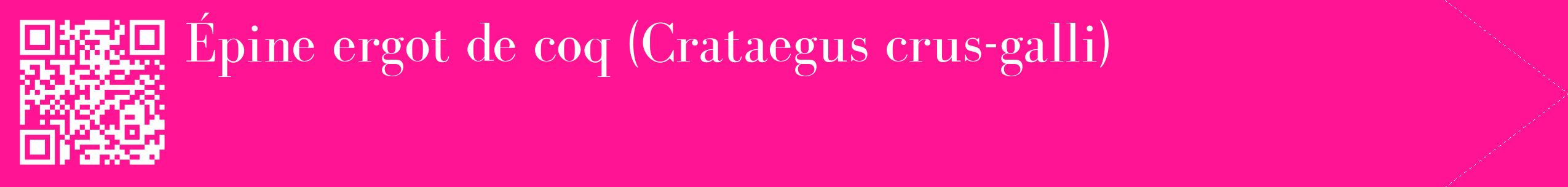 étiquette 2