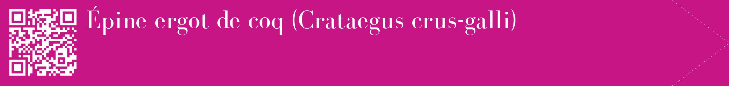étiquette 2