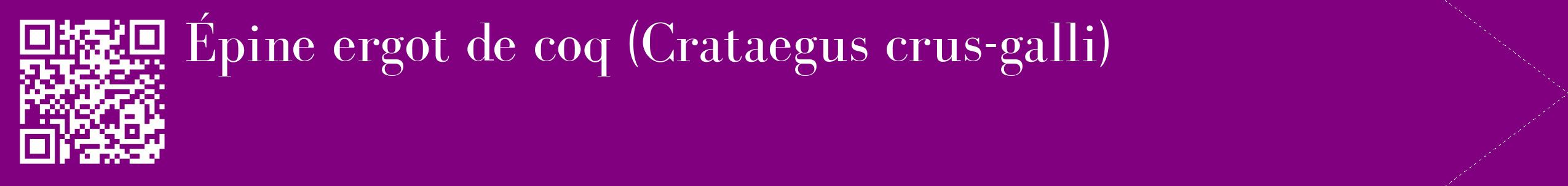 étiquette 2