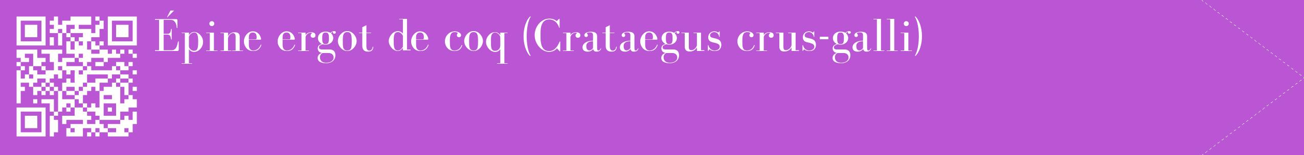 étiquette 2