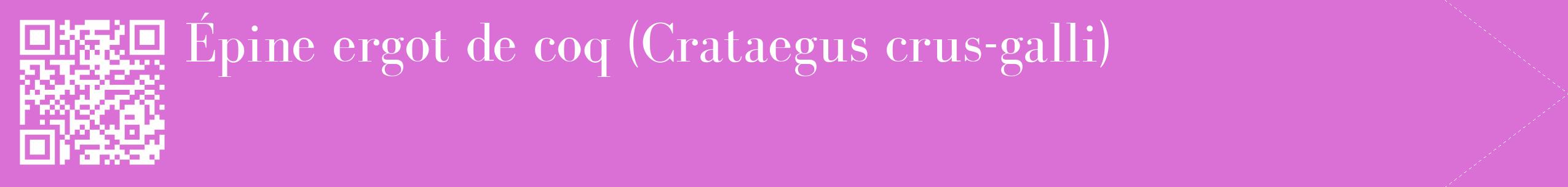 étiquette 2