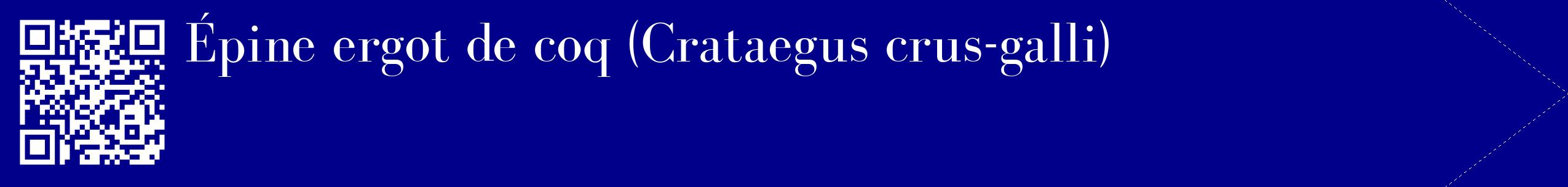 étiquette 2