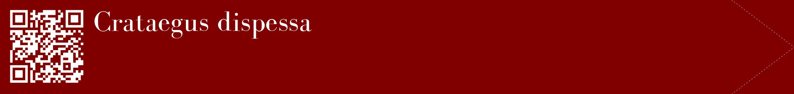 étiquette 2
