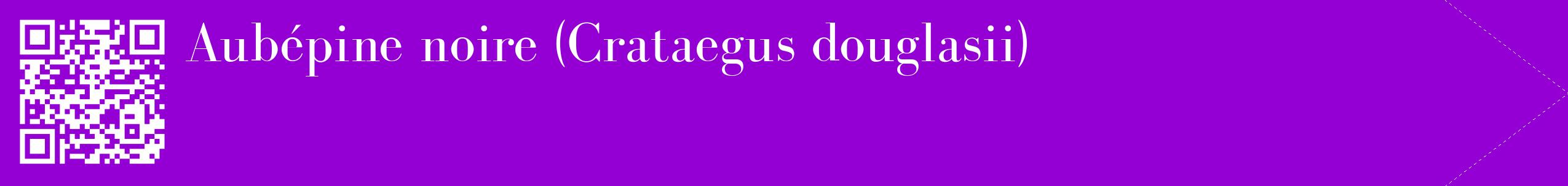 étiquette 2