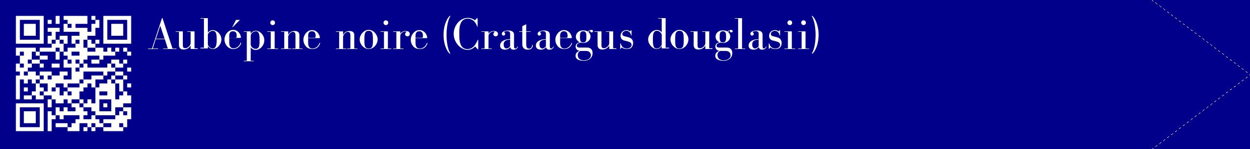 étiquette 2