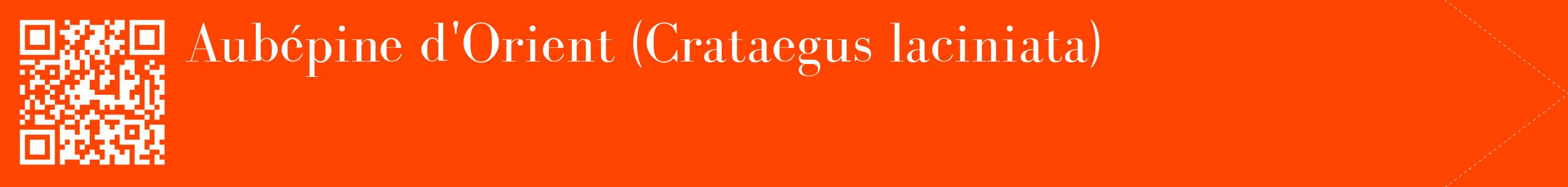 étiquette 2
