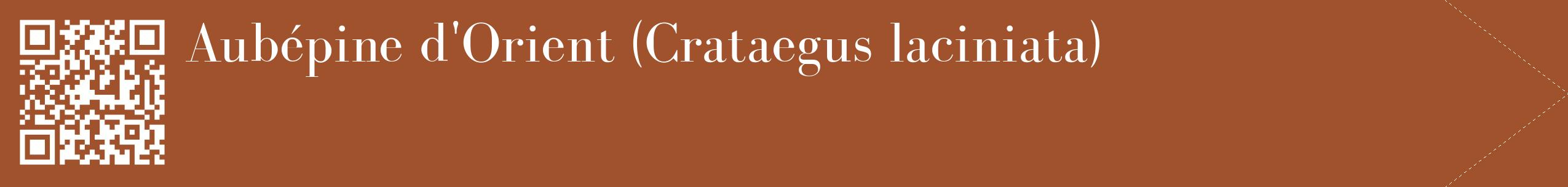étiquette 2