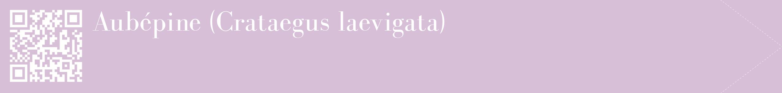 étiquette 2