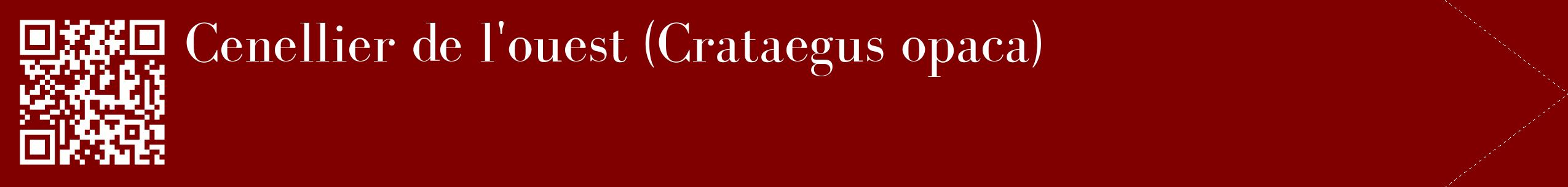 étiquette 2