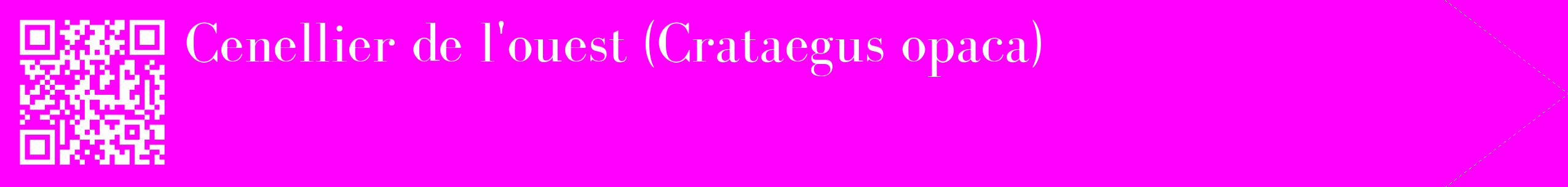 étiquette 2