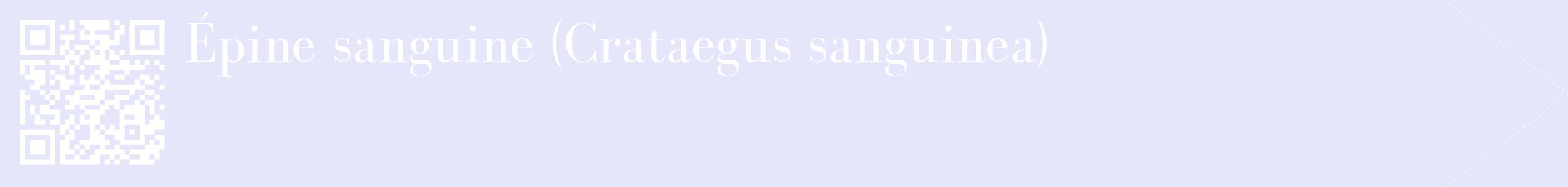 étiquette 2