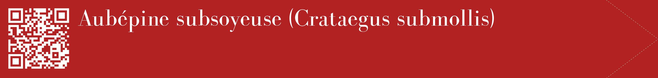 étiquette 2