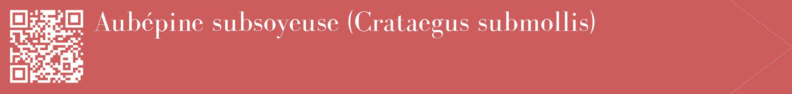étiquette 2