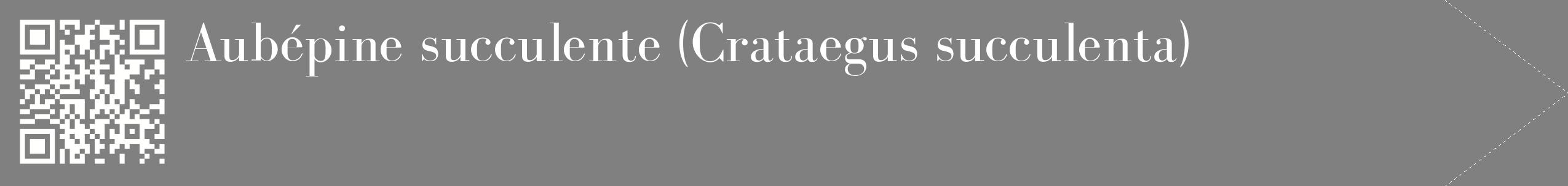 étiquette 2