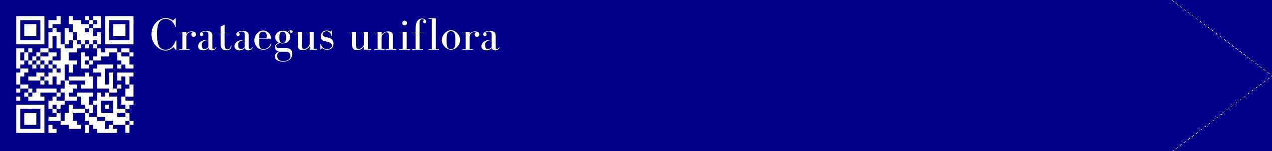 étiquette 2