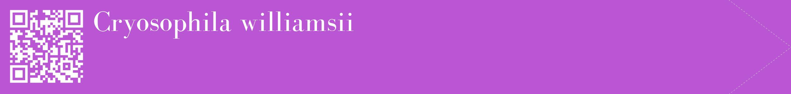 étiquette 2