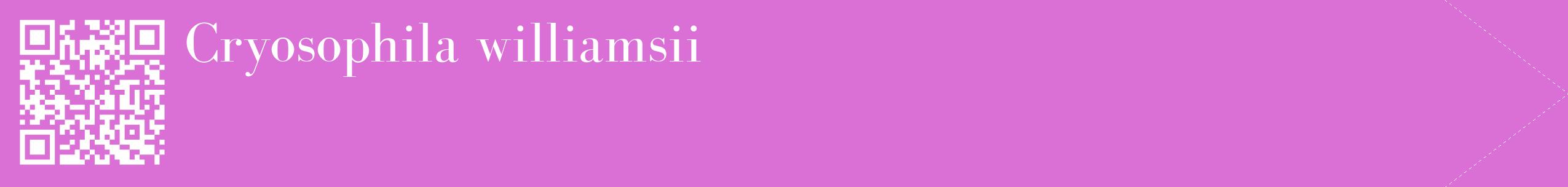 étiquette 2