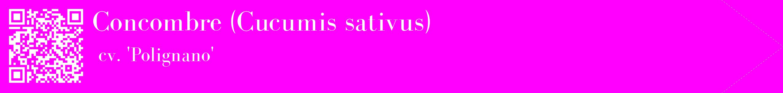 étiquette 2