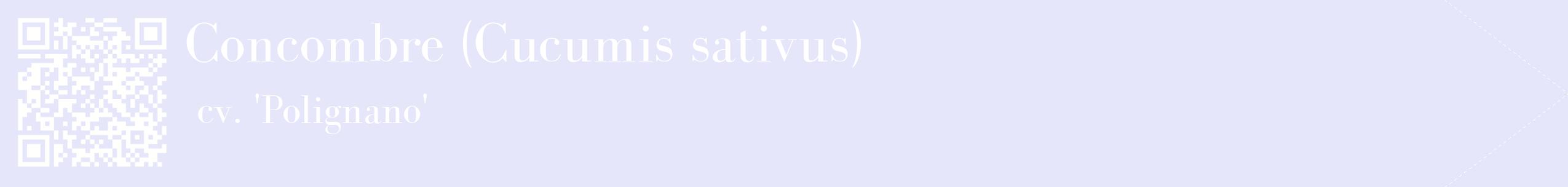 étiquette 2
