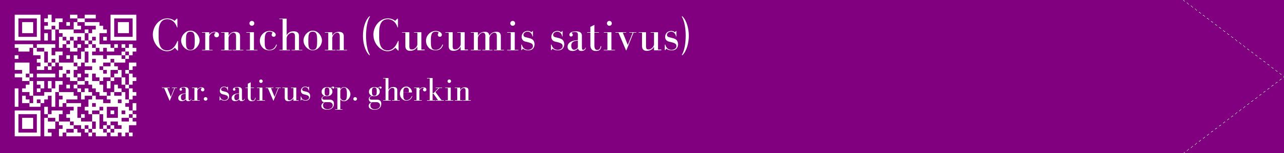 étiquette 2