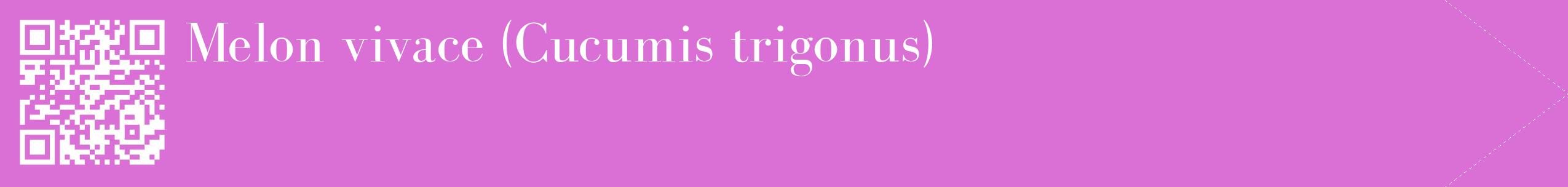 étiquette 2