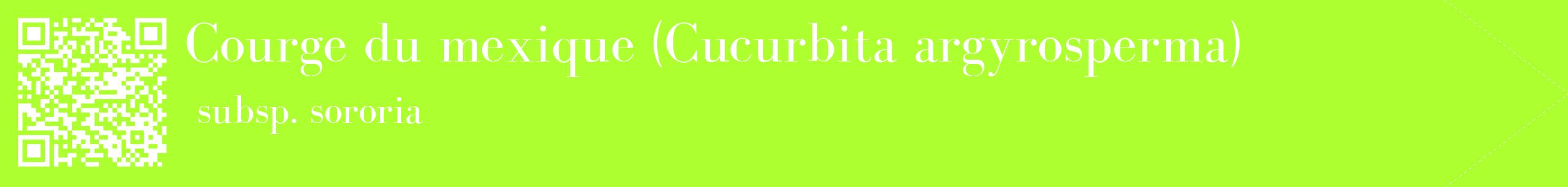 étiquette 2