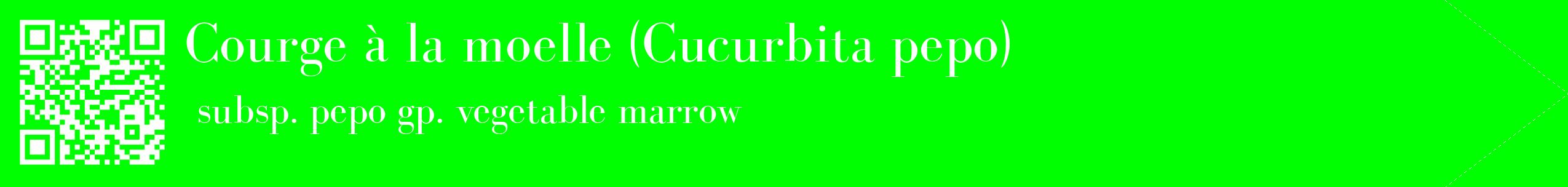 étiquette 2