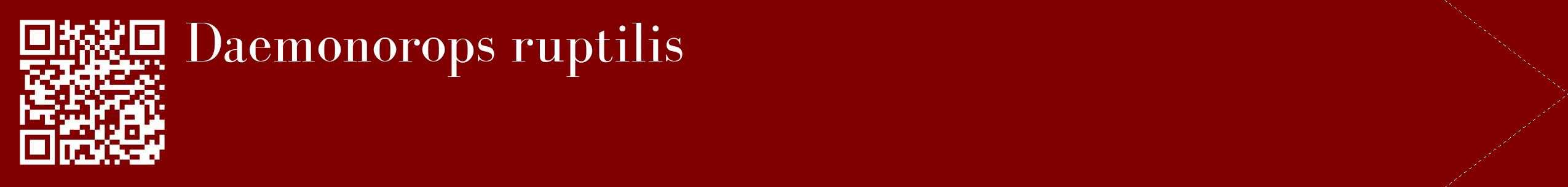 étiquette 2