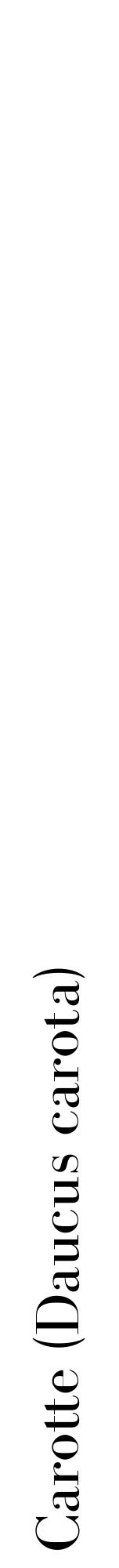 étiquette 2