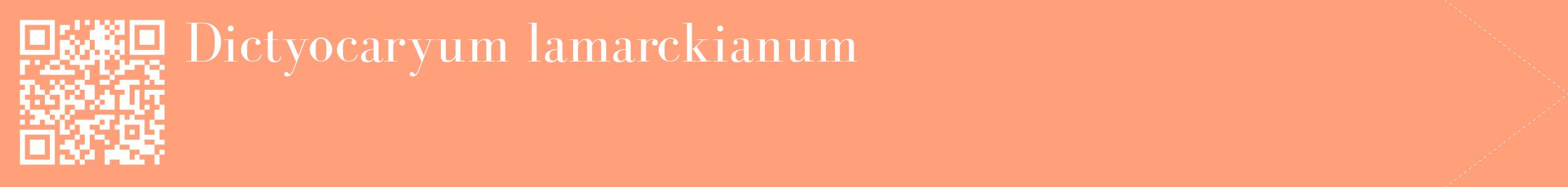 étiquette 2