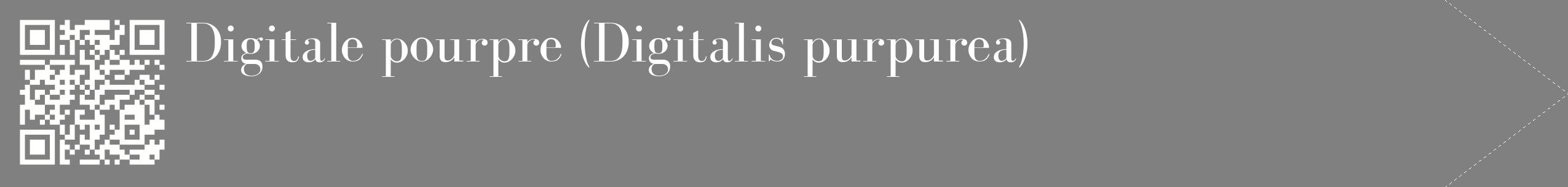 étiquette 2