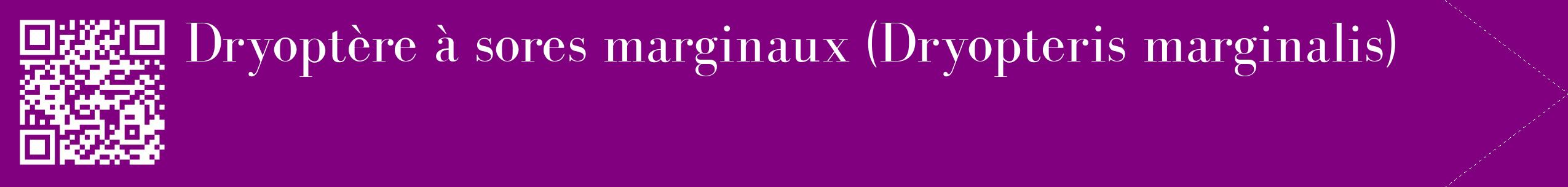 étiquette 2