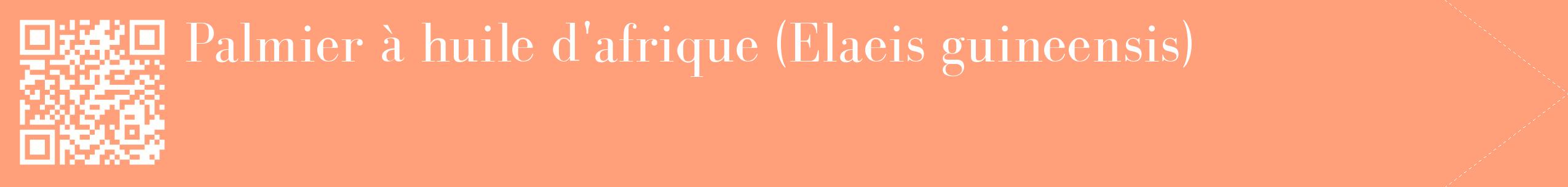 étiquette 2