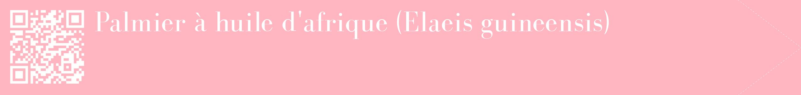 étiquette 2