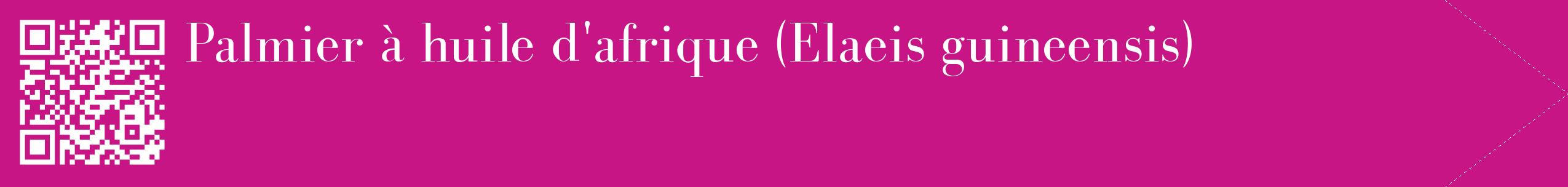 étiquette 2