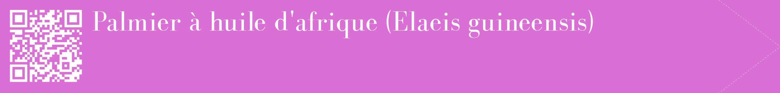 étiquette 2