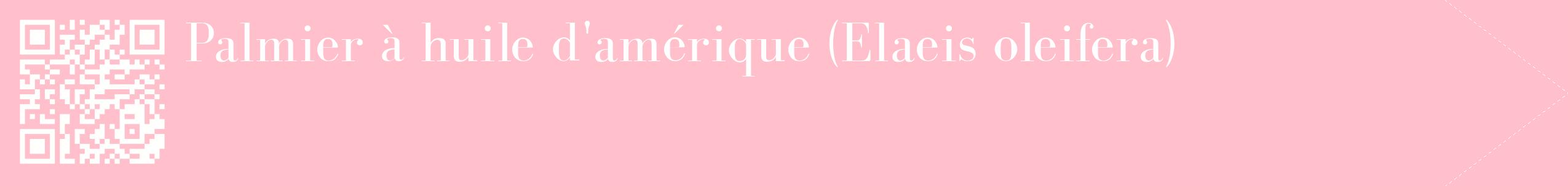étiquette 2