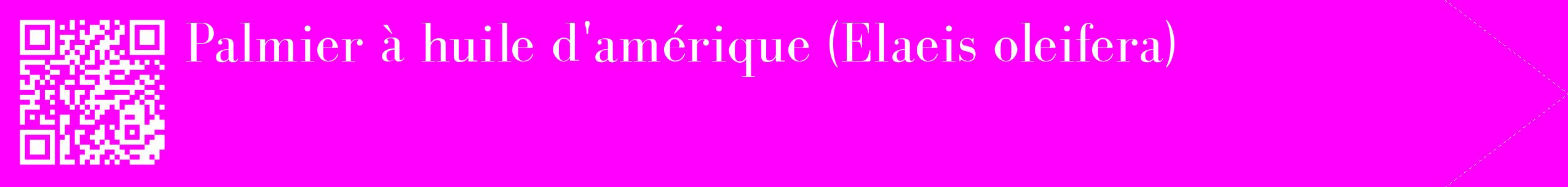 étiquette 2