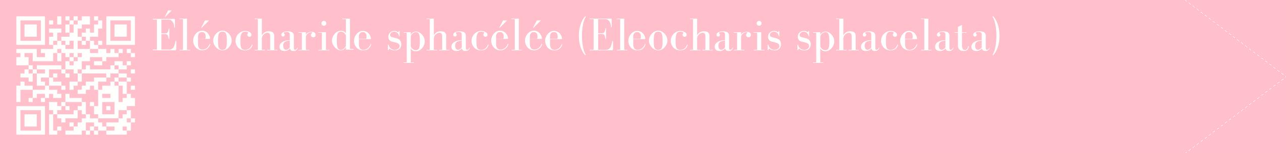 étiquette 2