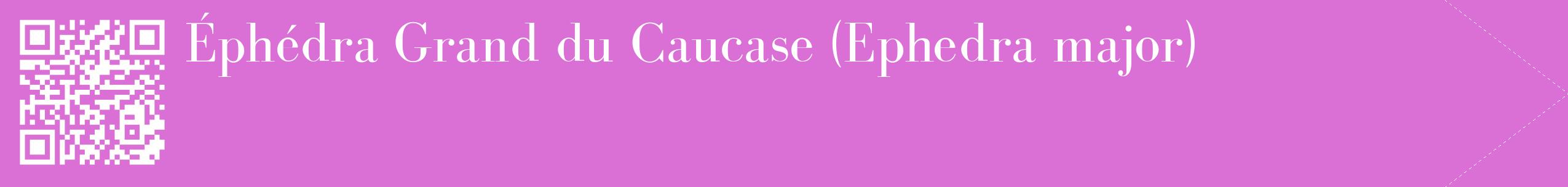 étiquette 2