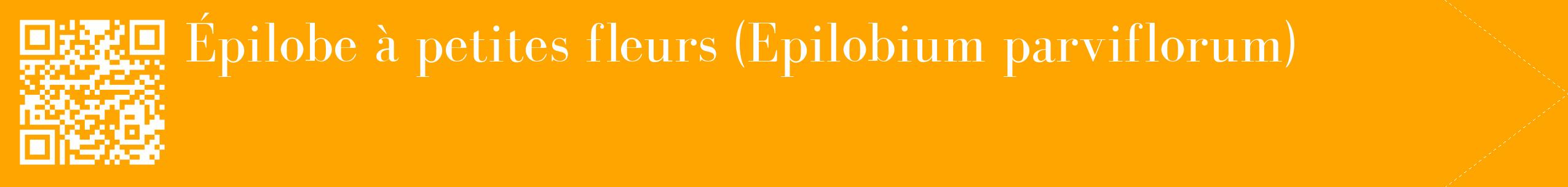 étiquette 2