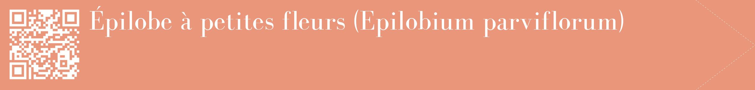 étiquette 2