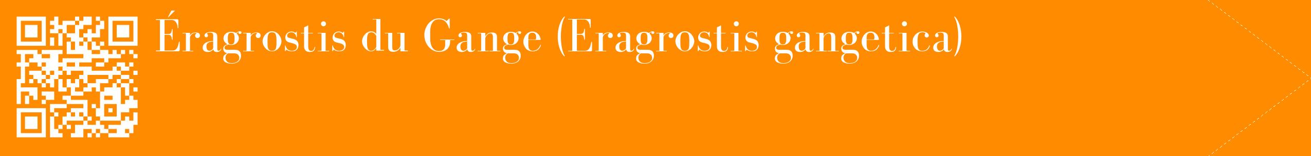 étiquette 2