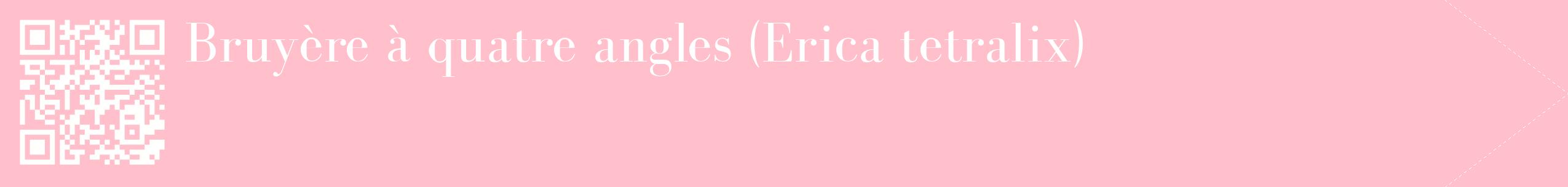 étiquette 2