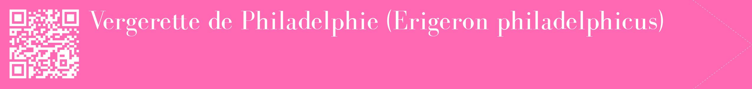 étiquette 2