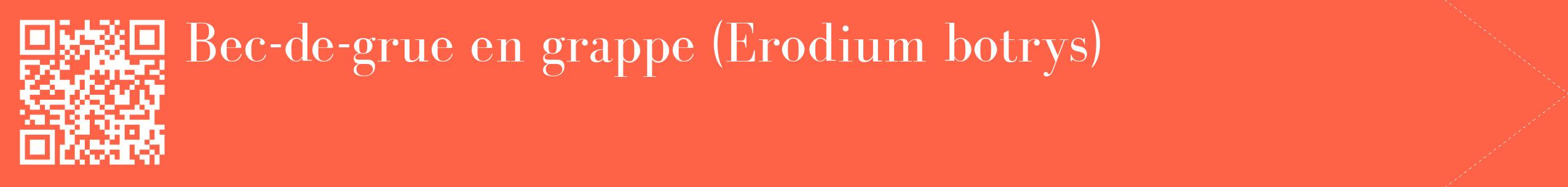 étiquette 2