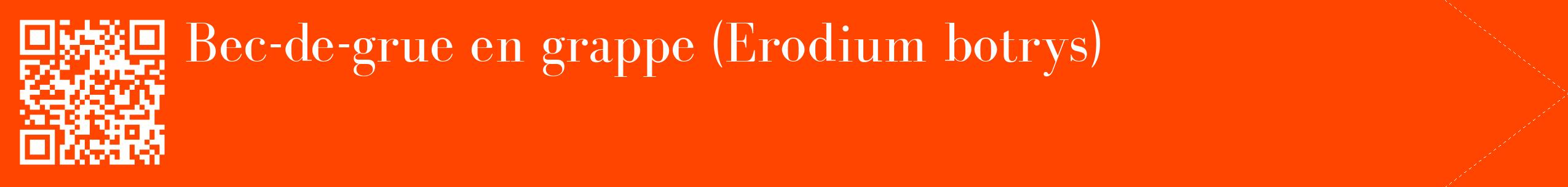 étiquette 2