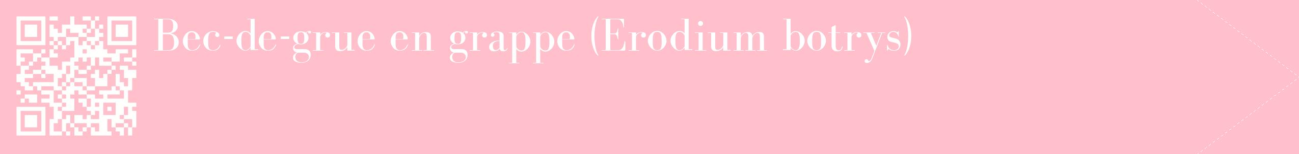 étiquette 2